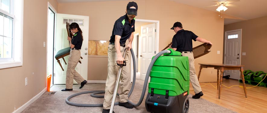 McLean, VA cleaning services